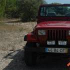 Jeep Wrangler 4J  155 000 km  3000   Pre&ccedil;o    3000 Primeiro registo  Mar&ccedil;o 1991 Quil&oacute;metros  155